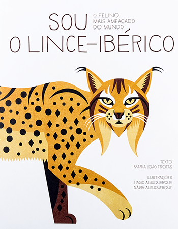 Novidades