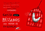 A Contradição Humana, Afonso Cruz